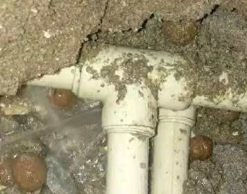 和政测漏水多少钱