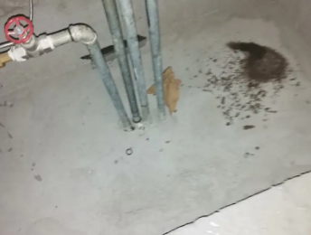 和政卫生间测漏水价格明细